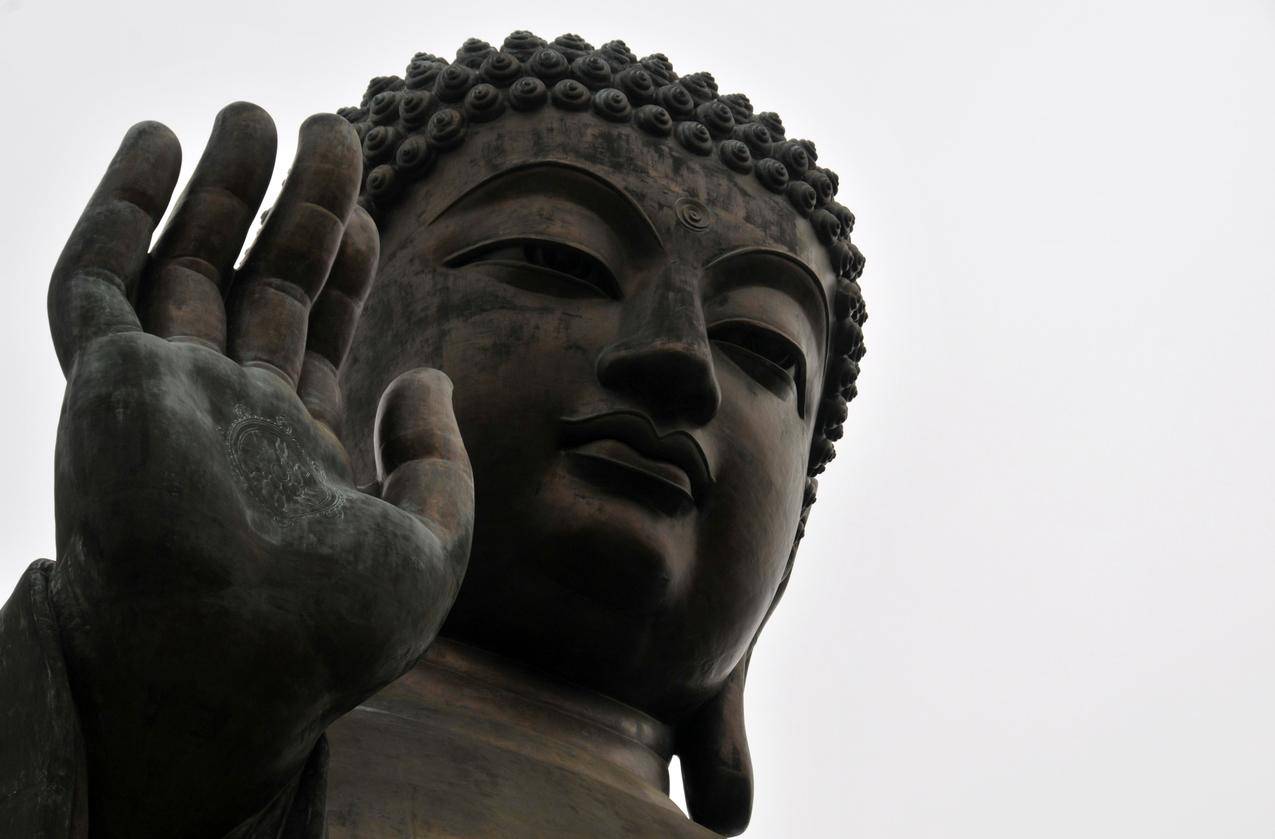网红商城
